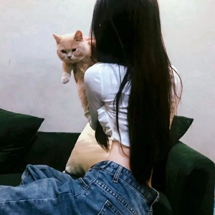 达尔文奖