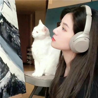 长安的荔枝