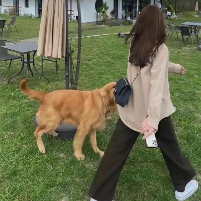 再见小妈